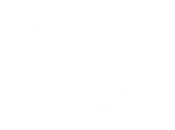 Alex Auto Locksmith badge: Fast Service, Premium Quality
